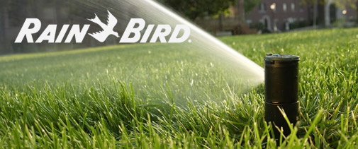 Rainbird Sprinklers - Sierra Irrigation