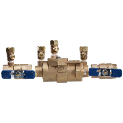 Febco Double Check Valve Assembly-1